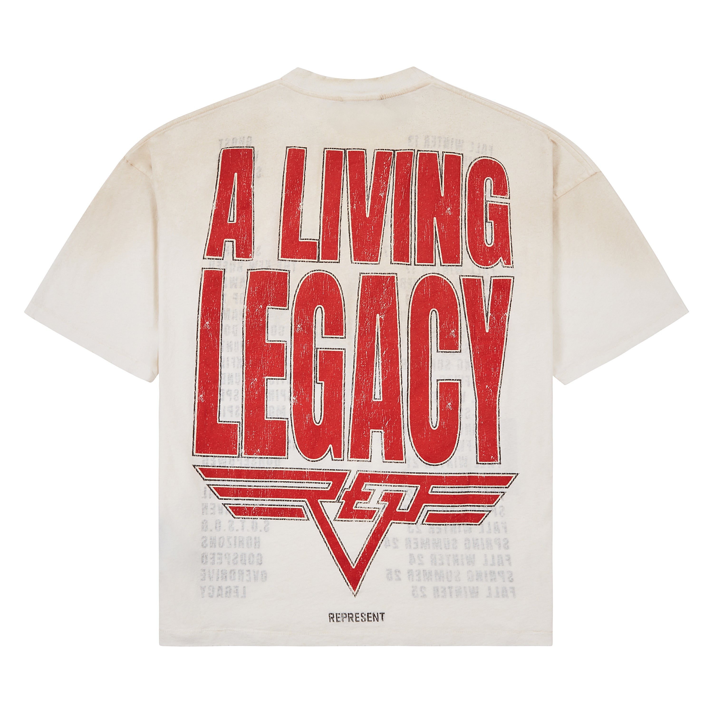 Living Legacy Reversible Tee | Washed Ecru – Capsule NYC