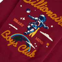 Jet Set Sweatshirt | Rhododendron