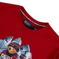 Team USA Bear Tee | Red