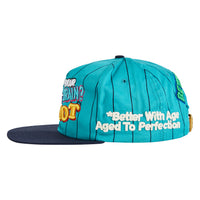 Idiotic Vintage Hat | Charlotte Pintstripe