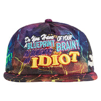 Idiotic Vintage Hat | Multi