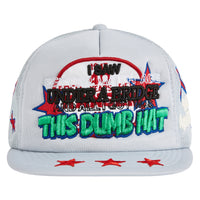 Dumb Vintage Hat | 40
