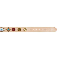 Disco Belt | True Craft (L)