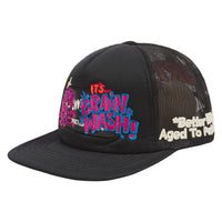 Brainwash Vintage Hat | Duction