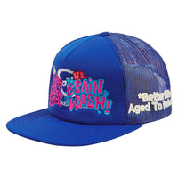 Brainwash Vintage Hat | Treasure