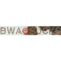 Chastity Belt | Lime (L)