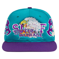 Doug Vintage Hat | Hornets