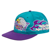Doug Vintage Hat | Hornets