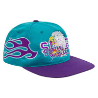 Doug Vintage Hat | Hornets
