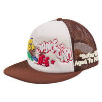 Dunce Vintage Hat | Brown