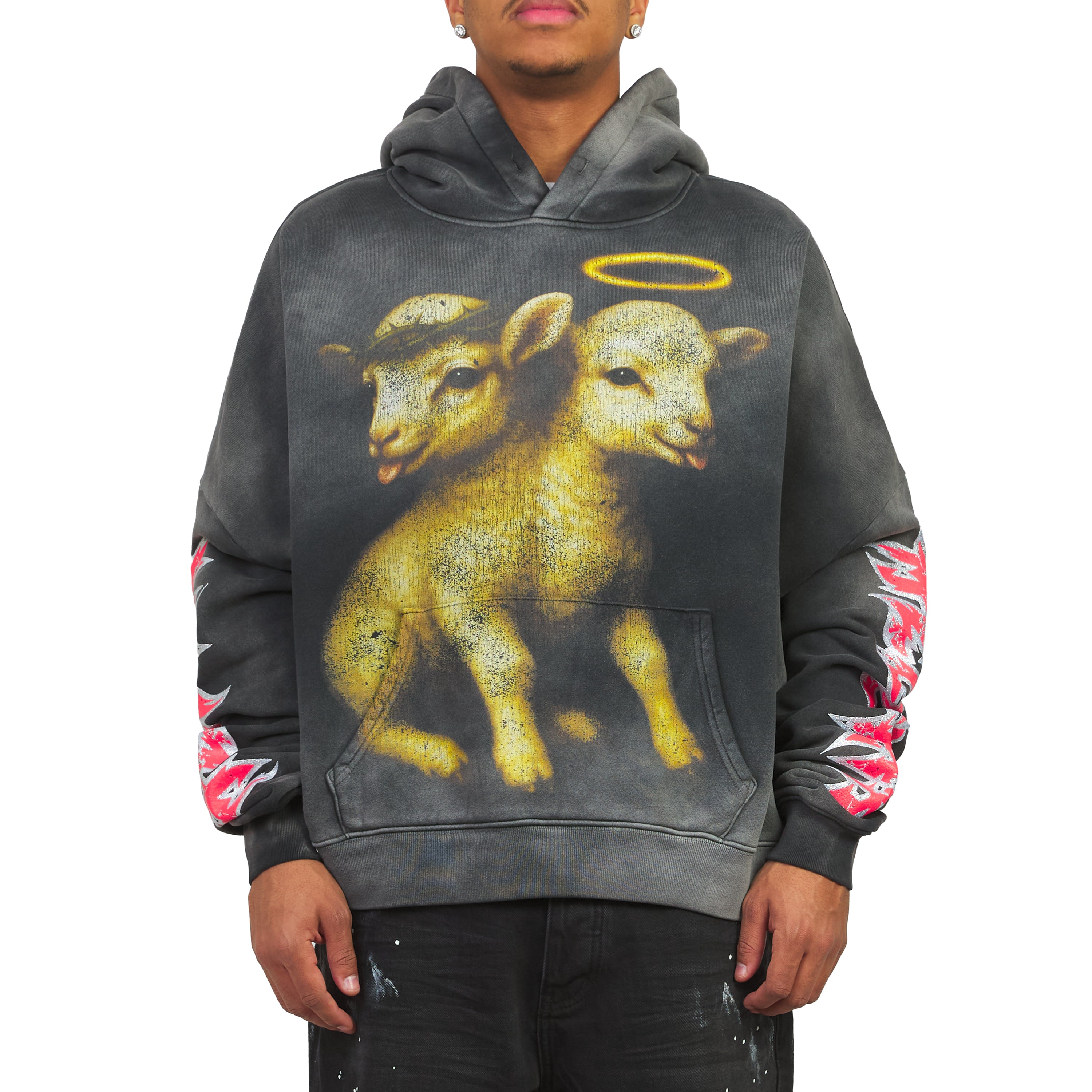 パーカー ザ・ノース・フェイス THE NORTH FACE メンズ スウェットパーカー Zoo