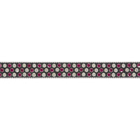 Gangar Belt