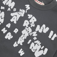 Chaos Logo Sweatshirt | Neutral Grey - Capsule NYC