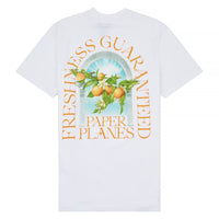 Freshness Tee | White - Capsule NYC