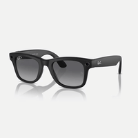 Meta Wayfarer Sunglasses | Black/Polar Gradient