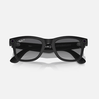 Meta Wayfarer Sunglasses | Black/Polar Gradient