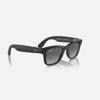 Meta Wayfarer Sunglasses | Black/Polar Gradient