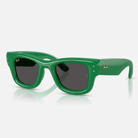 A$ap Rocky X Ray-Ban Wayfarer Puffer | Green/Black