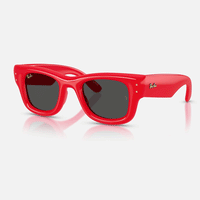 A$ap Rocky X Ray-Ban Wayfarer Puffer | Red/Ultra Black