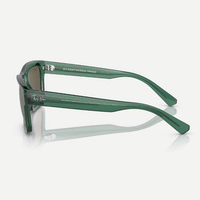 Warren Sunglasses | Transparent Green/Brown