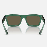 Warren Sunglasses | Transparent Green/Brown