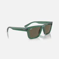 Warren Sunglasses | Transparent Green/Brown
