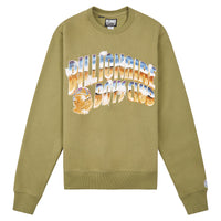 Chrome Sweatshirt | Mosstone - Capsule NYC