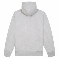 Planes Crest Hoodie | Grey - Capsule NYC